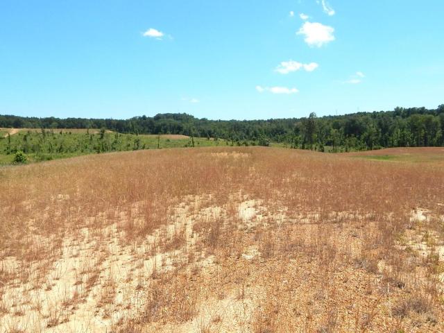Land for sale in Grenada, Mississippi