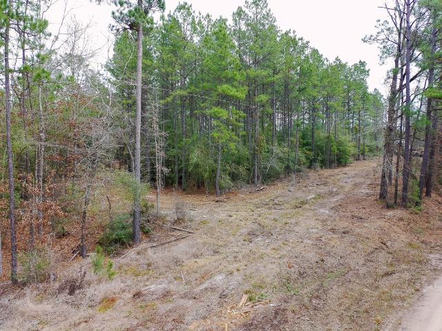 Land for sale in Zavalla, Texas