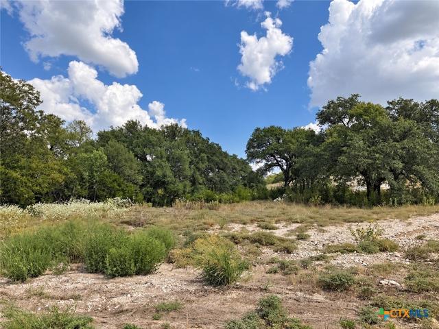 Land for sale in Belton, Bell County