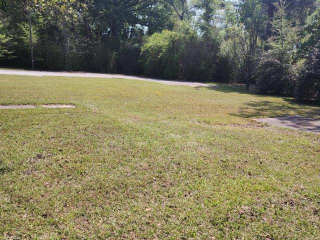 Land for sale in Wadley, Georgia