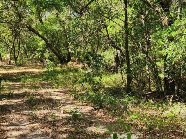 Property for sale in Pomona Park, Florida