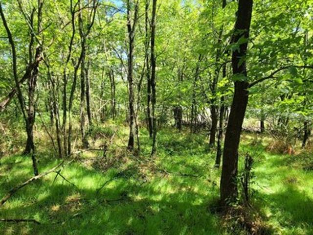 Land for sale in Virginia