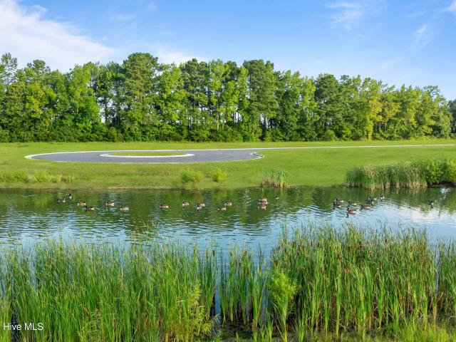 House for sale in South Mills, North Carolina