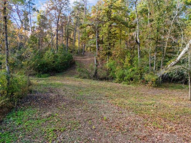 Farm for sale in Tennessee