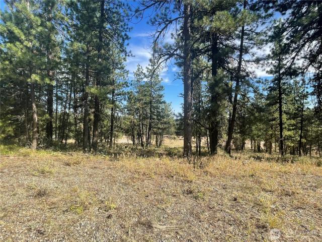 Land for sale in East Wenatchee