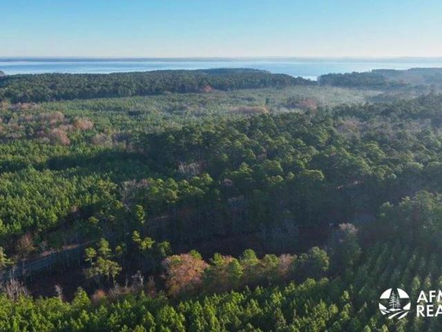 Land for sale in Milam, Sabine County