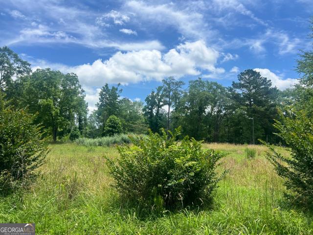 Land for sale in Jackson, Georgia