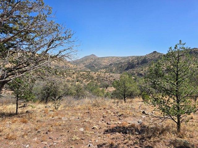 Land for sale in Fort Davis, Texas