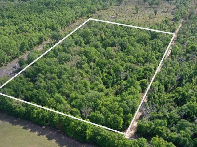 Land for sale in Suwannee, Florida