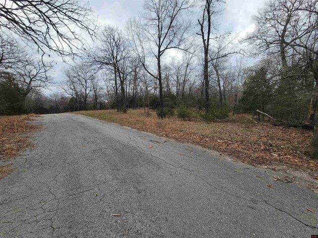 Land for sale in Theodosia, Missouri