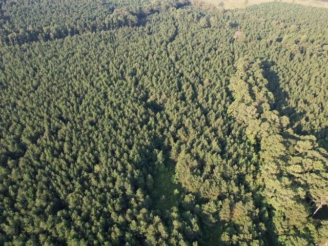 Land for sale in Ark