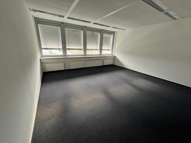 Wohnung mieten in Güstrow, Mecklenburg-Vorpommern