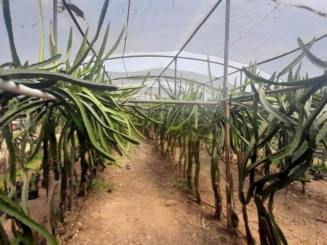 Farm for sale in North West