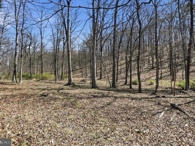 Land for sale in Hardy, West Virginia