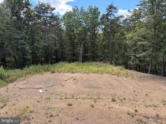 Land for sale in Hardy, West Virginia