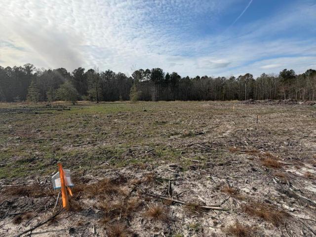 Commercial for sale in Barnwell, South Carolina