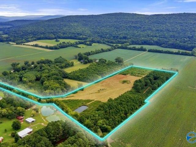 Land for sale in New Market, Madison County