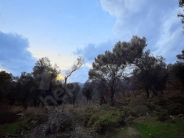 Seferihisar, İzmir içerisinde satılık Arsa