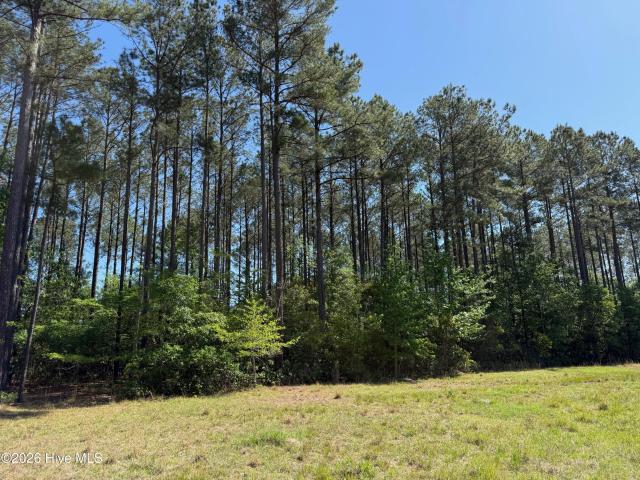 Land for sale in Bladenboro, Bladen County