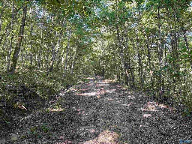 Land for sale in Stevenson, Alabama