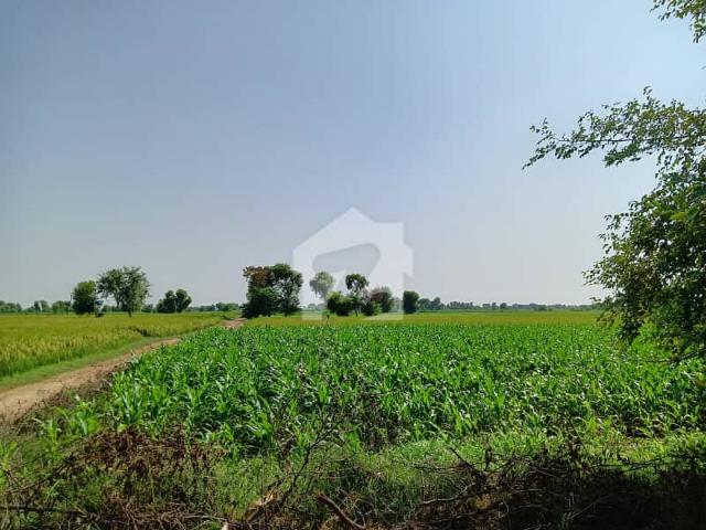 Land for sale in Pak Pattan, Islamabad Capital Territory