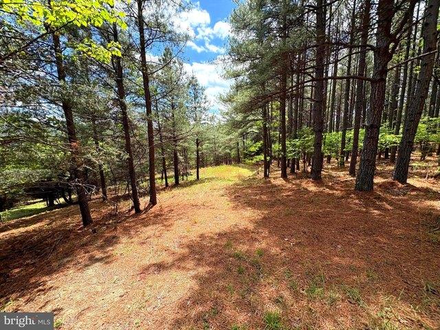Land for sale in Hardy, West Virginia