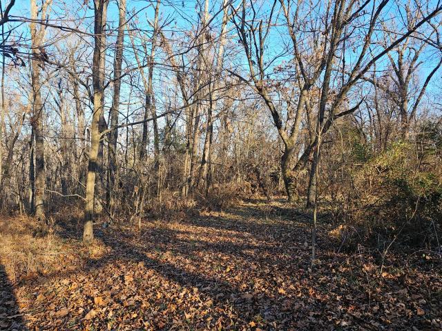 Land for sale in Pineville, Missouri