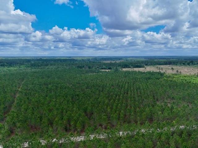 Land for sale in Odum, Georgia