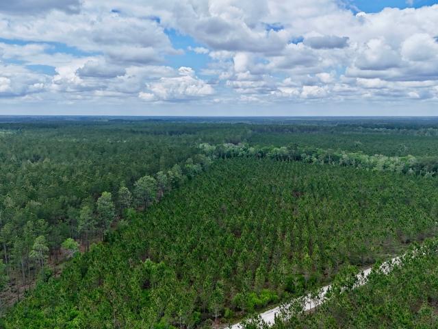Land for sale in Odum, Georgia