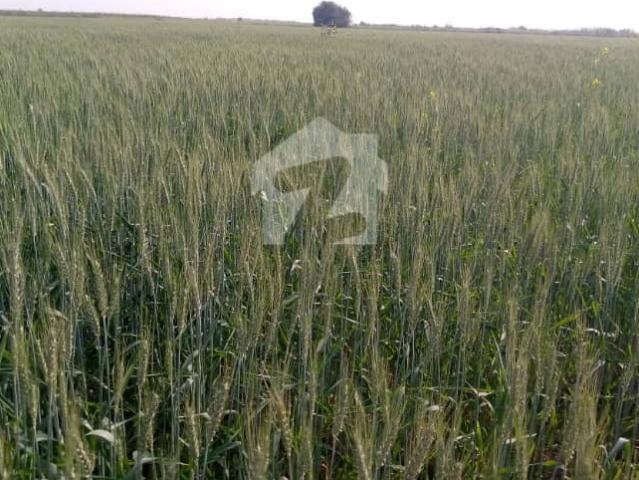Land for sale in Bahawalnagar, Islamabad Capital Territory