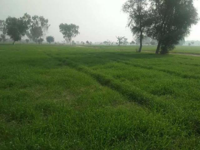 Land for sale in Multan, Islamabad Capital Territory