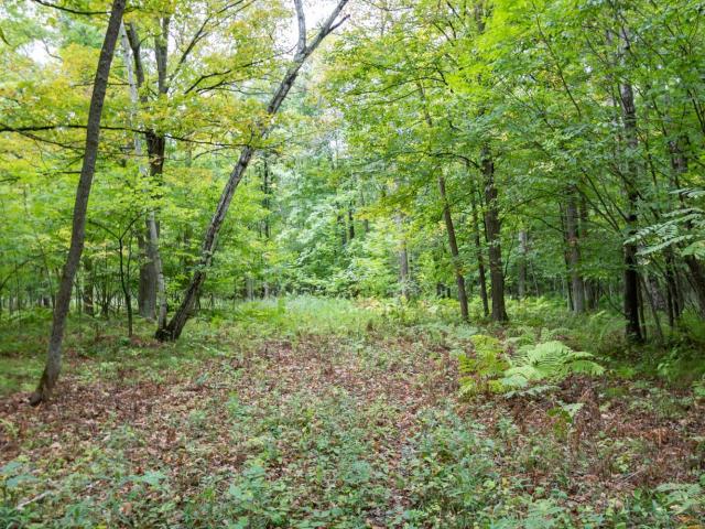 Land for sale in Wisconsin