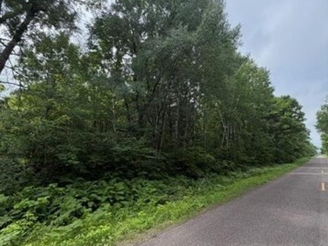 Land for sale in Trego, Wisconsin