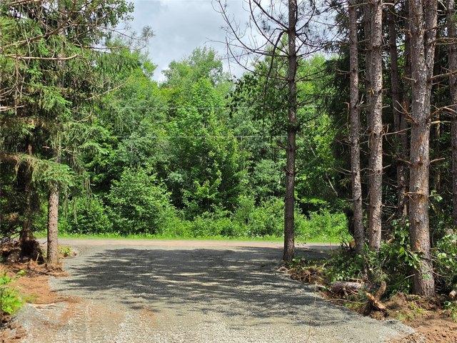 Land for sale in Bruce, Wisconsin
