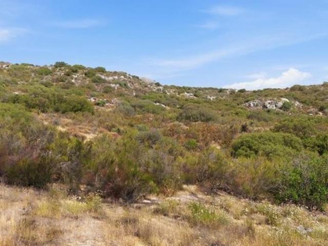 Land for sale in Campo, California