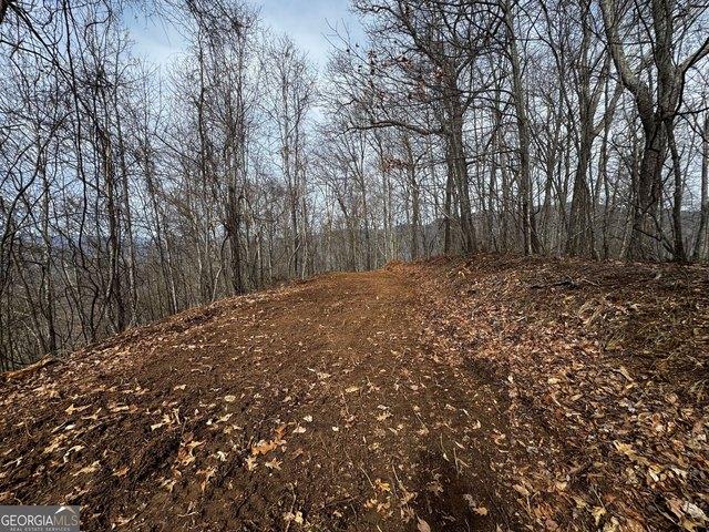 Land for sale in Hayesville, North Carolina