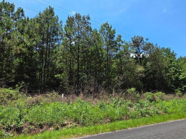 Land for sale in Mc Cormick, South Carolina