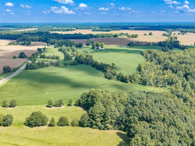 Land for sale in Anderson, Alabama