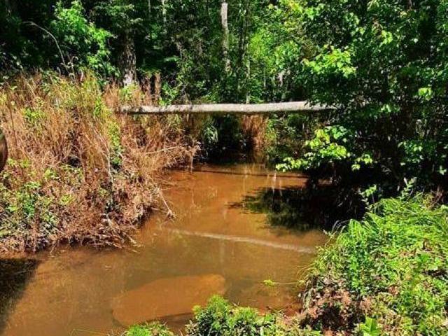 Land for sale in Wedowee, Alabama
