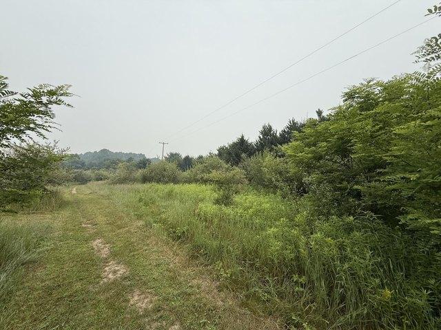 Land for sale in Alger, Michigan