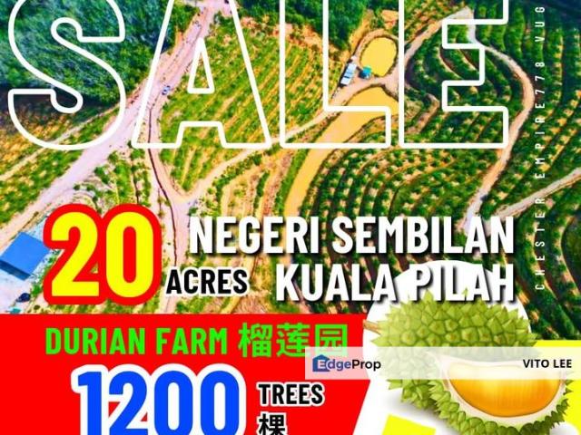 Shop for sale in Pilah, Kuala Pilah