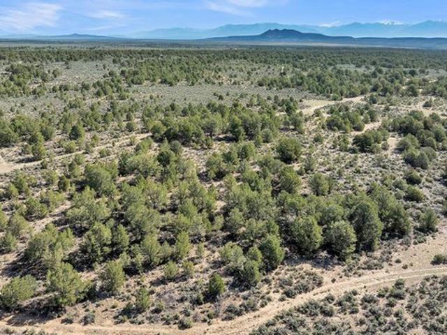 Land for sale in Carson, Taos County