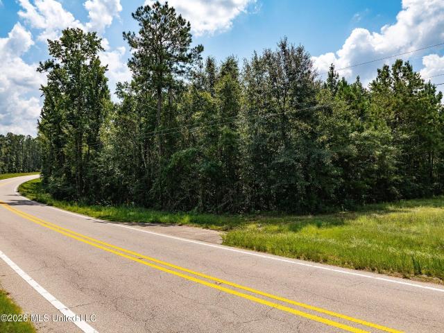 Land for sale in Sumrall, Mississippi