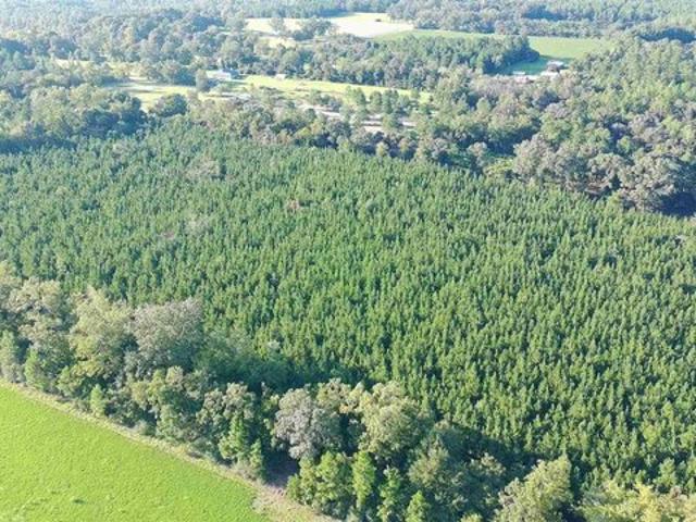 Land for sale in Milton, Santa Rosa County