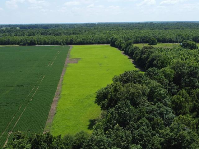 Land for sale in Tennessee