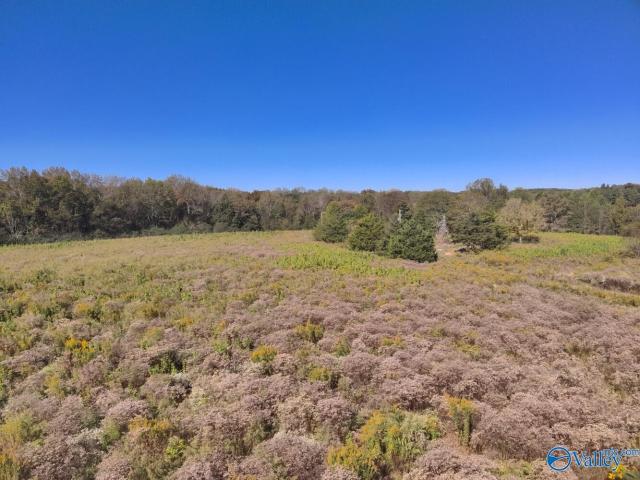 Land for sale in Eva, Alabama