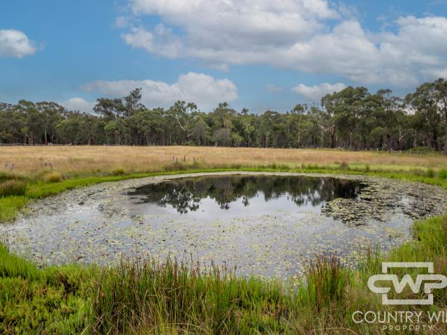 Property for sale in Stannum, Tenterfield Shire Council