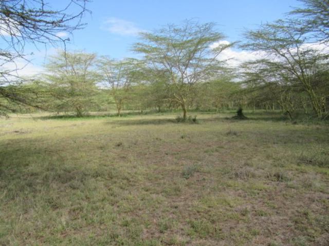 Land for sale in Njiru, Nairobi