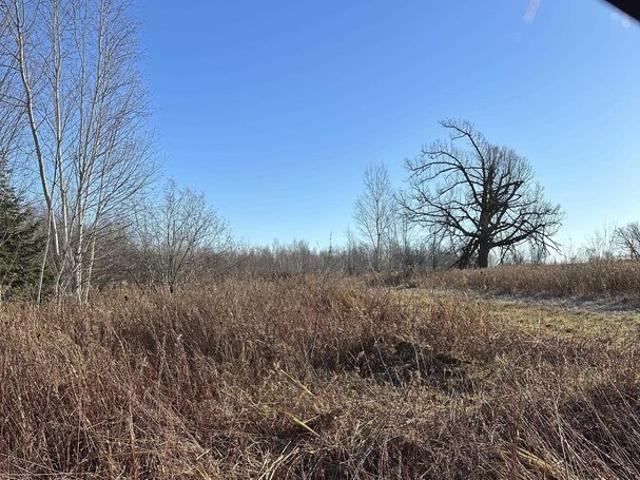Land for sale in Conrath, Wisconsin