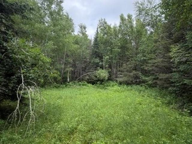 Land for sale in Trego, Wisconsin